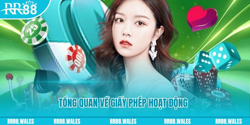 betvisa slot game đánh bài trên máy tính