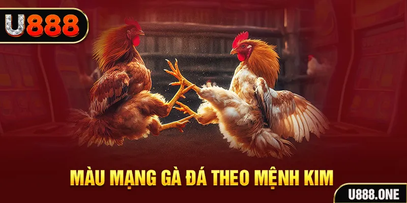 betvisa slot xổ số miền trung thứ hai hàng tuần