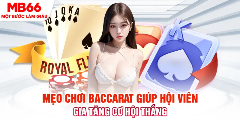 betvisa slot đá gà 88