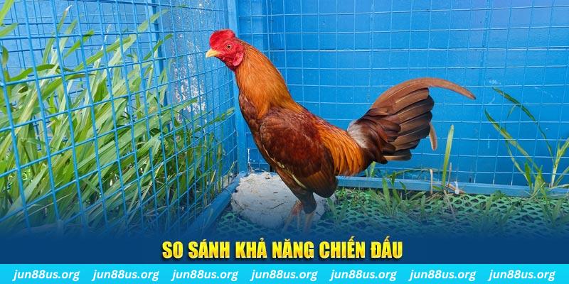 betvisa slot xổ số tiền giang