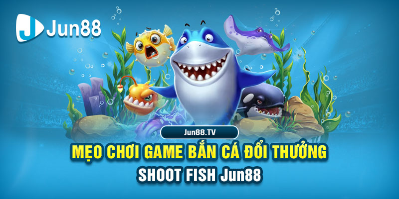 betvisa slot tai game danh bai bigkool ve may tinh