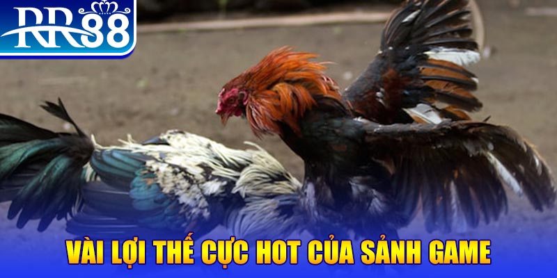 betvisa slot nổ hủ là trò gì