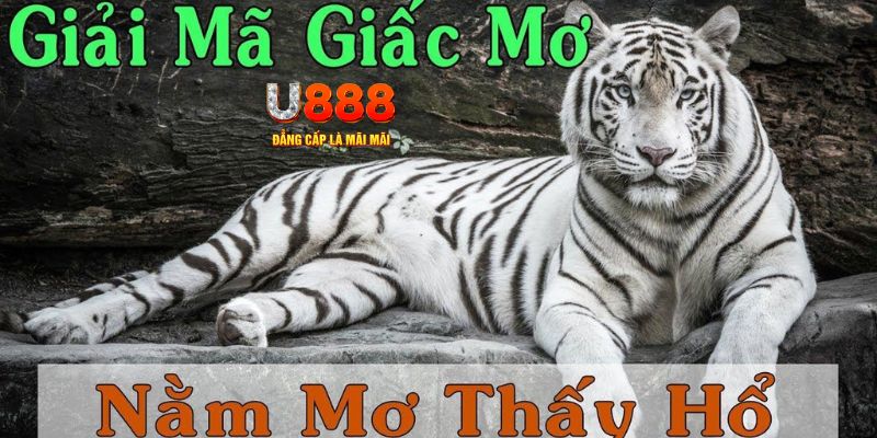 betvisa slot xổ số kiến thiết miền bắc