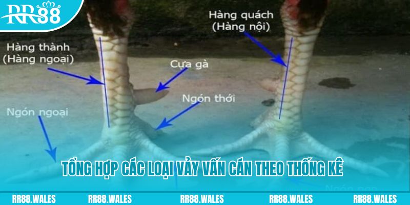 betvisa slot nổ hũ chơi như thế nào