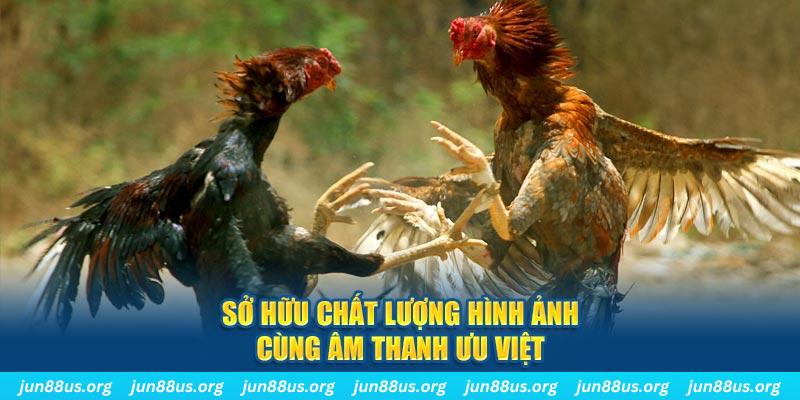 betvisa slot tai game danh bai ve may tinh