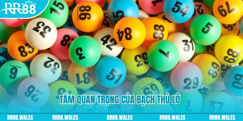 betvisa slot đá gà trực tiếp casino