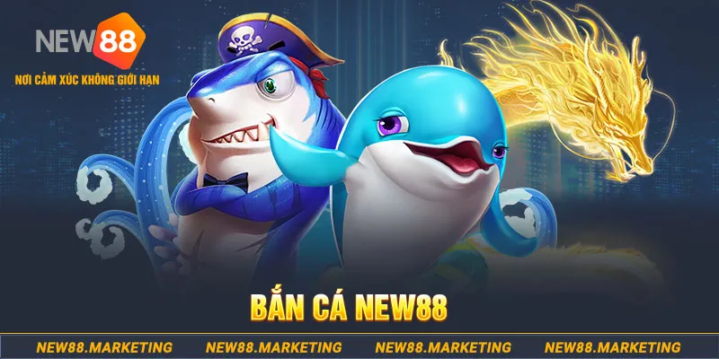 betvisa slot trong baccarat, ai là người chia bài chính？