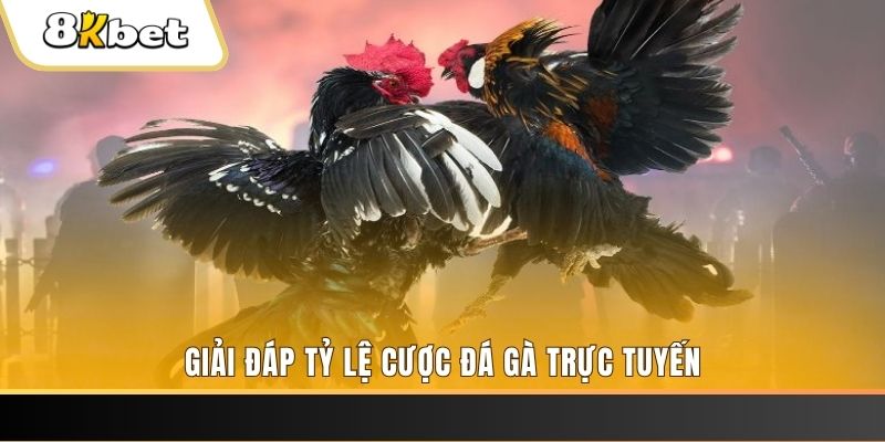 betvisa slot xổ số ba đài
