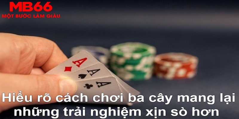 betvisa slot ÁT CHỦ BÀI GIÀNH LẤY ZHUANG NIUNIU ( XEM 3 LÁ )