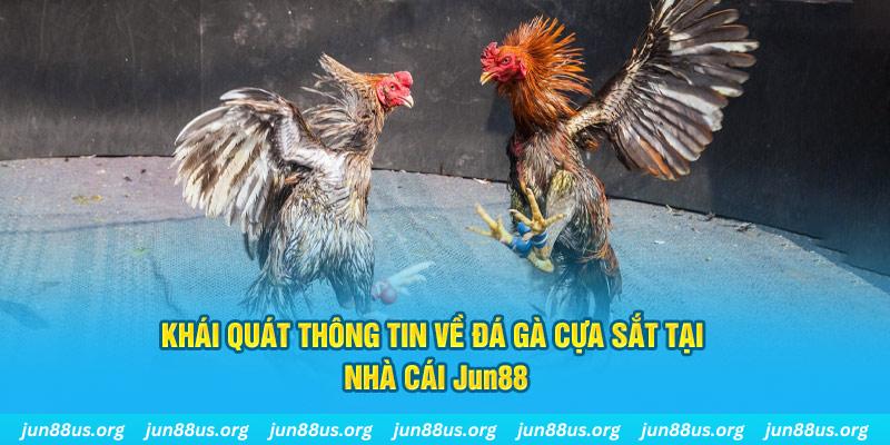 betvisa slot game bài trên máy tính