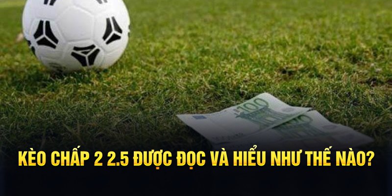 betvisa slot đá gà thomo