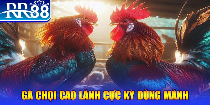 betvisa slot natural” trong baccarat nghĩa là gì？